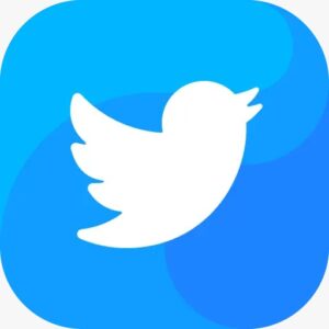 Buy X Twitter Followers USA